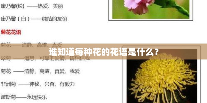 谁知道每种花的花语是什么？
