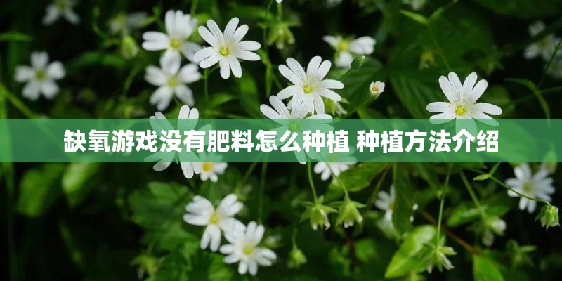 缺氧游戏没有肥料怎么种植 种植方法介绍