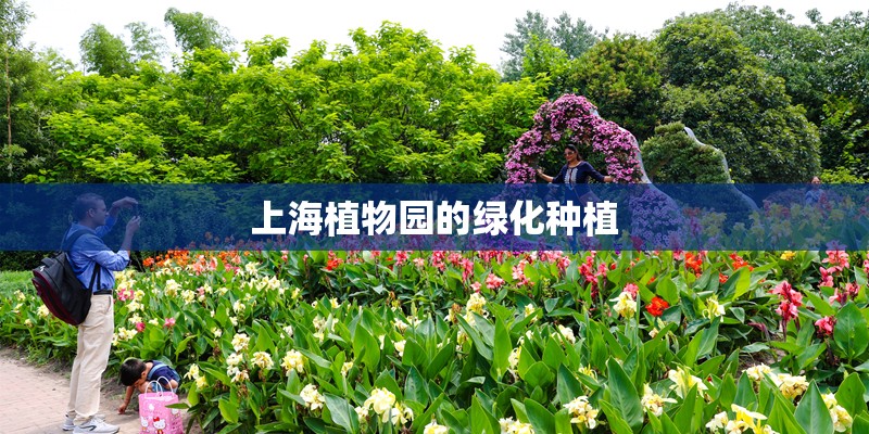 上海植物园的绿化种植
