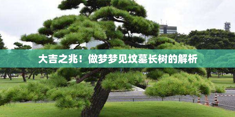 大吉之兆！做梦梦见坟墓长树的解析