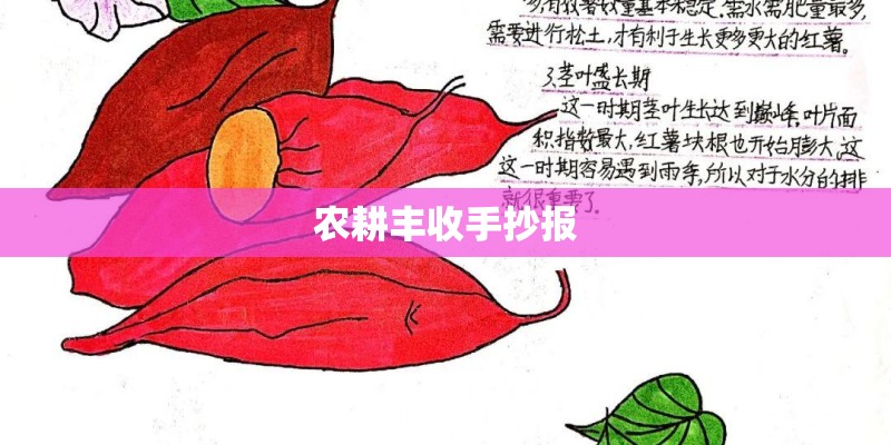 农耕丰收手抄报