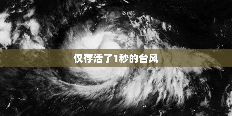 仅存活了1秒的台风