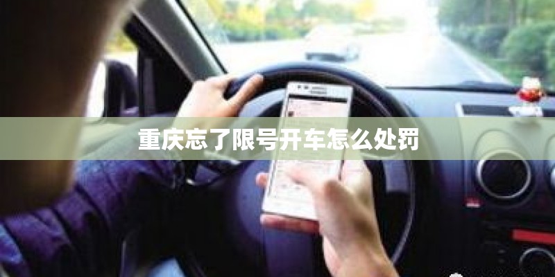 重庆忘了限号开车怎么处罚