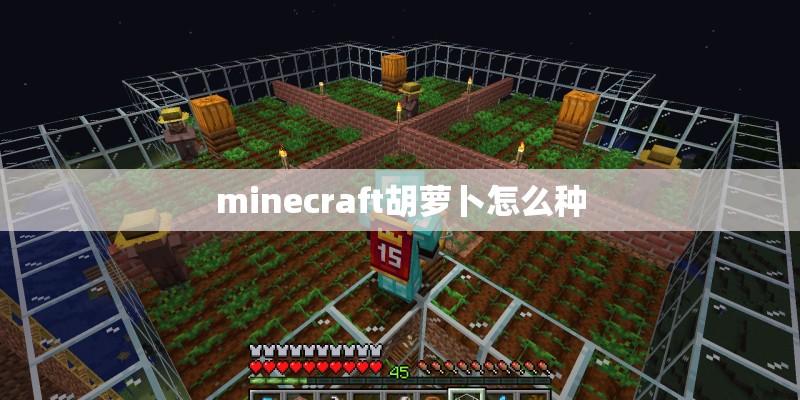 minecraft胡萝卜怎么种
