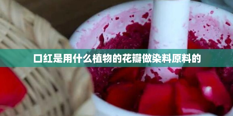 口红是用什么植物的花瓣做染料原料的 口红是用什么植物的花瓣做染料原料的