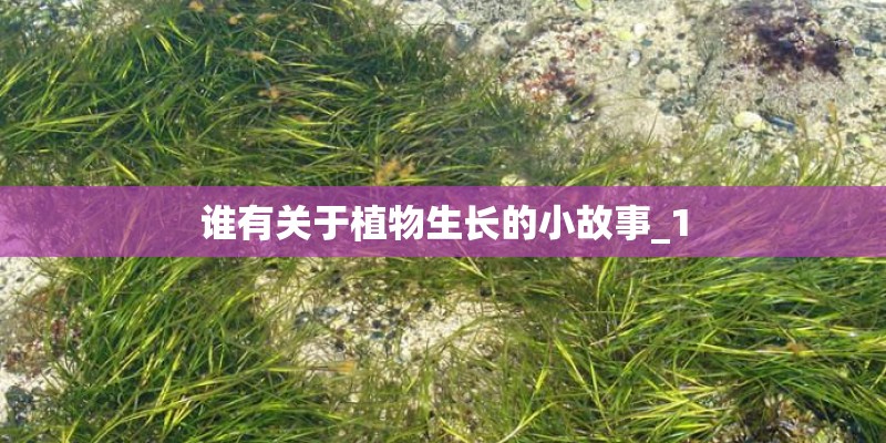 谁有关于植物生长的小故事_1