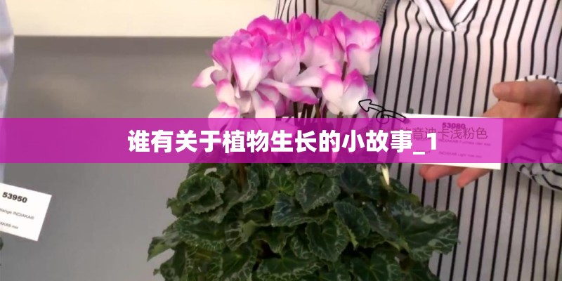 谁有关于植物生长的小故事_1