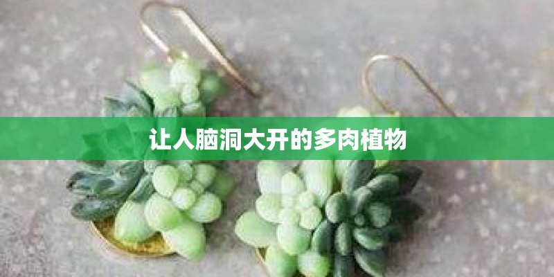 让人脑洞大开的多肉植物