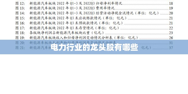 电力行业的龙头股有哪些