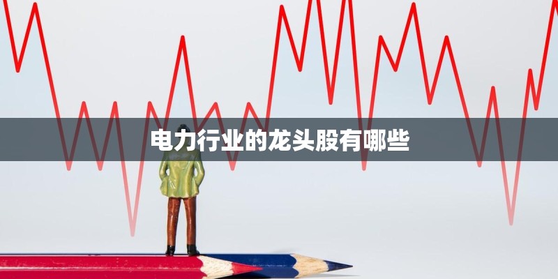 电力行业的龙头股有哪些
