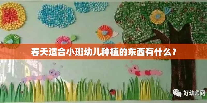 春天适合小班幼儿种植的东西有什么? 春天适合小班幼儿种植的东西有什么?