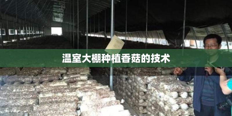 温室大棚种植香菇的技术 温室大棚种植香菇的技术
