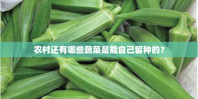 农村还有哪些蔬菜是能自己留种的？