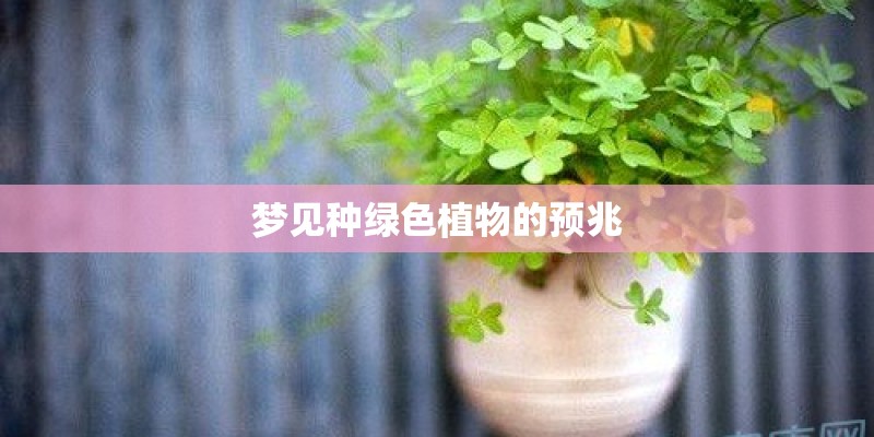 梦见种绿色植物的预兆