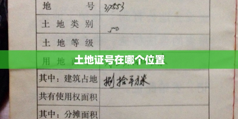 土地证号在哪个位置